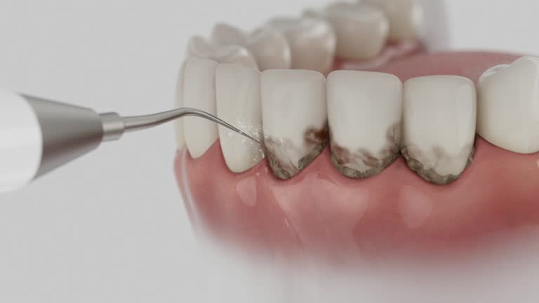 Reliable Dental contractor in Saginaw, MI by Dentist Open Now
